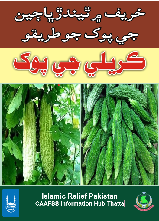 Bitter Gourd Cultivation ڪريلي جي پوک