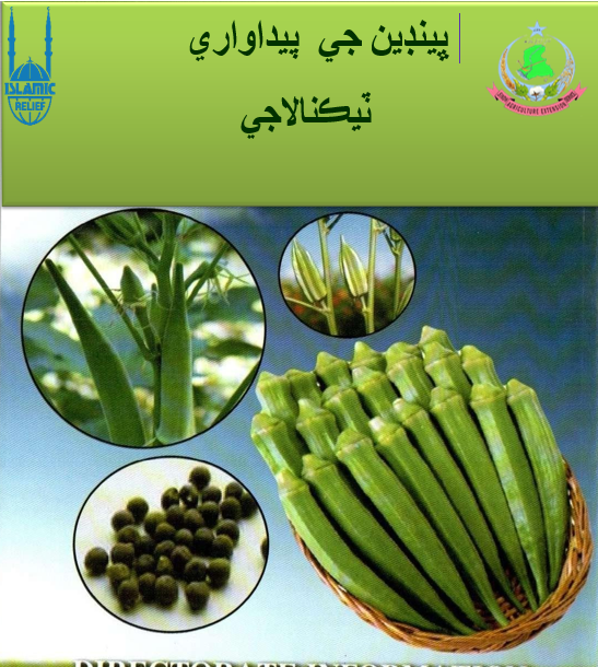 Improved Production Techniques for Okra Cultivation