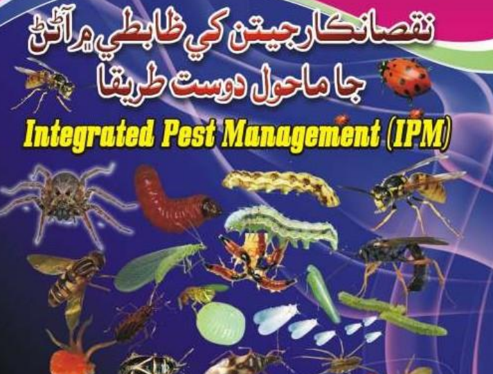Integrated Pest Management (IPM)-نقصانڪار جيتن کي ضابطي ۾ آڻڻ جا ماحول دوست طريقا