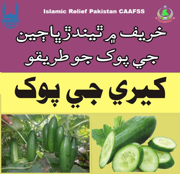 Method of cultivation of Vegetables in Kharif season (Cultivation of Cucumber)