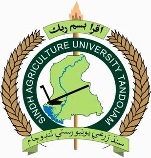 Sindh Agriculture University Tando Jam